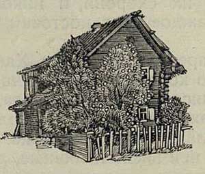 Хаврошечка - Толстой А.Н., рис.3