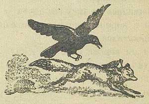 Лиса - Толстой А.Н., рис.2