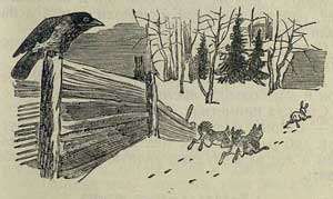 Заяц - хваста - Толстой А.Н., рис.3
