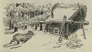 Зимовье зверей - Толстой А.Н., рис.2