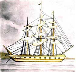 Акула (Сказка Толстого Л.Н.), картинка