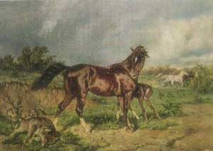 Волк и кобыла (Сказка Толстого Л.Н.), картинка