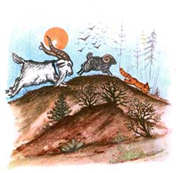 Плутишка кот - Ушинский К.Д.