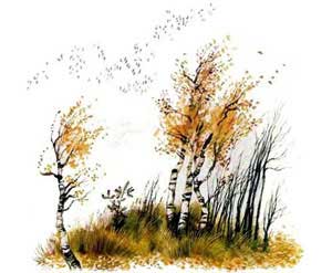 Проказы старухи-зимы - Ушинский К.Д.