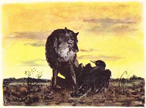 Сказка об Иване-царевиче и Сером Волке (Сказка Жуковского В.А.), рис.9